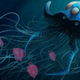 Illustration for article titled Luvdisc Have Giant Orgies That Turn The Ocean Pink